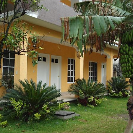 Posada Los Robles Tepoztlán Kültér fotó